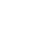 icon not found